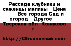 Рассада клубники и саженцы малины › Цена ­ 10 - Все города Сад и огород » Другое   . Тверская обл.,Конаково г.